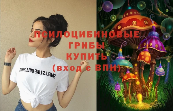 МДПВ Кукмор