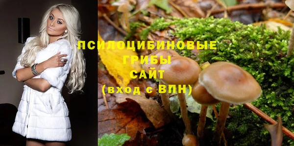 спиды Красноперекопск