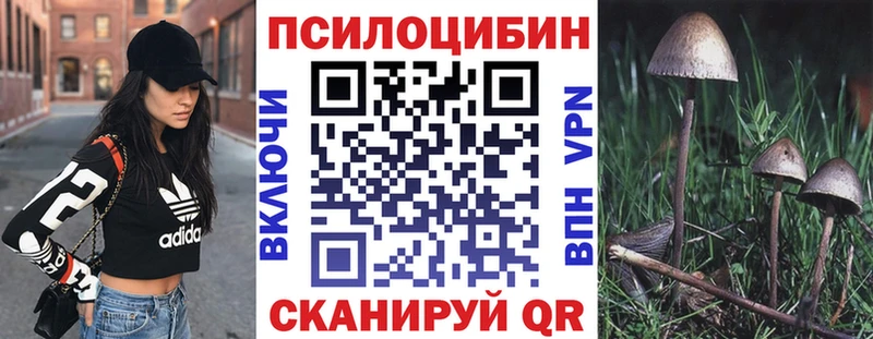 мега ТОР  где купить   Западная Двина  Галлюциногенные грибы мухоморы 